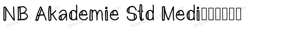 NB Akademie Std Medi字体转换